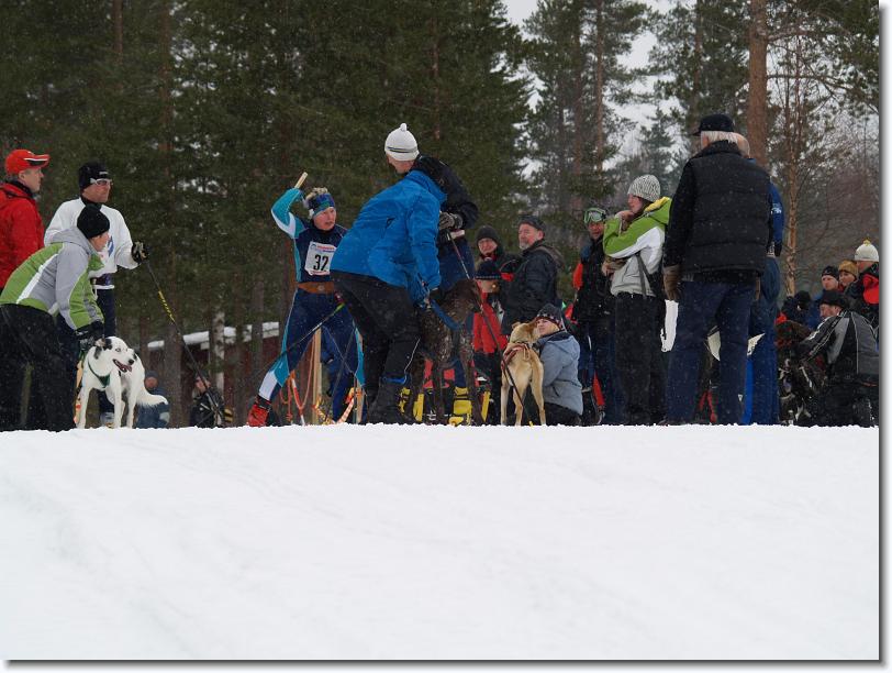 Nästa bild